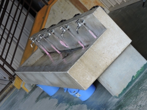 託麻西小学校（水道）