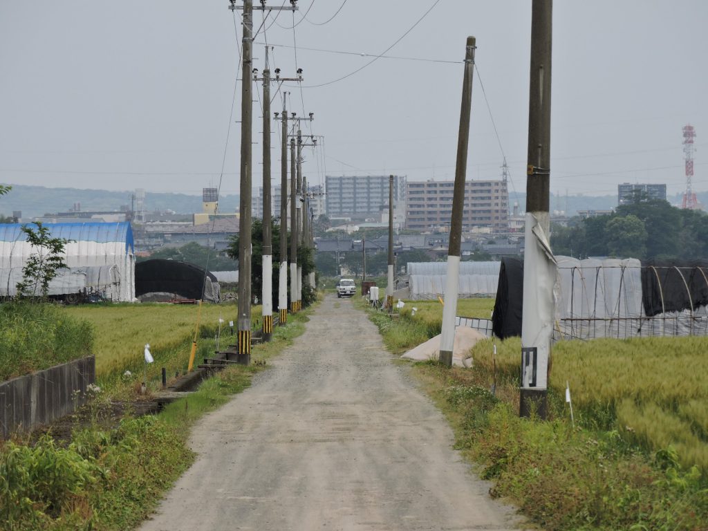 【嘉島町】1人最大2万円分！「地域商品券」の引換が2月18日からスタート