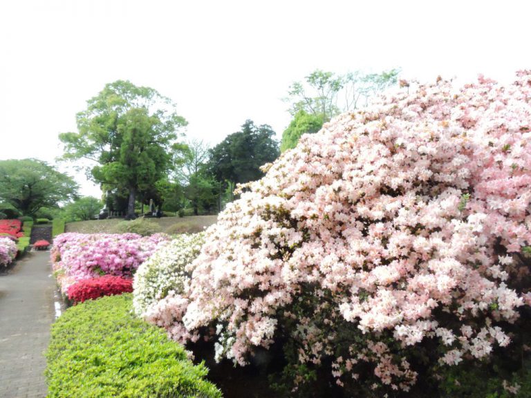 昭和園（大津町）