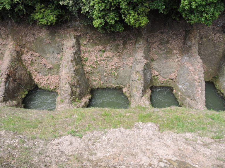 馬場楠井手の鼻ぐり