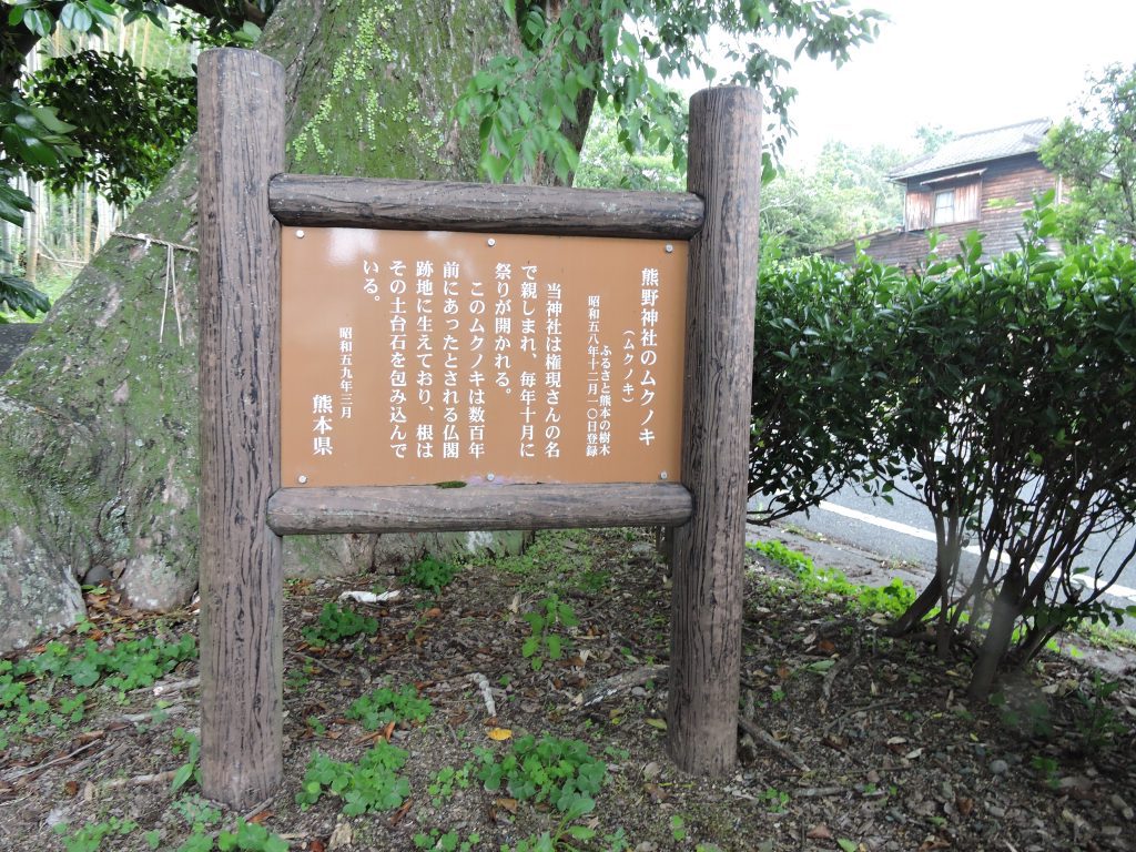 熊野神社（山鹿市中）