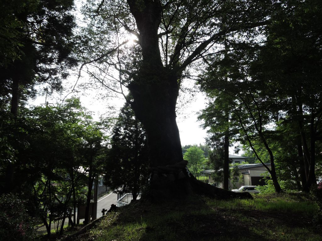 矢村神社（阿蘇市）