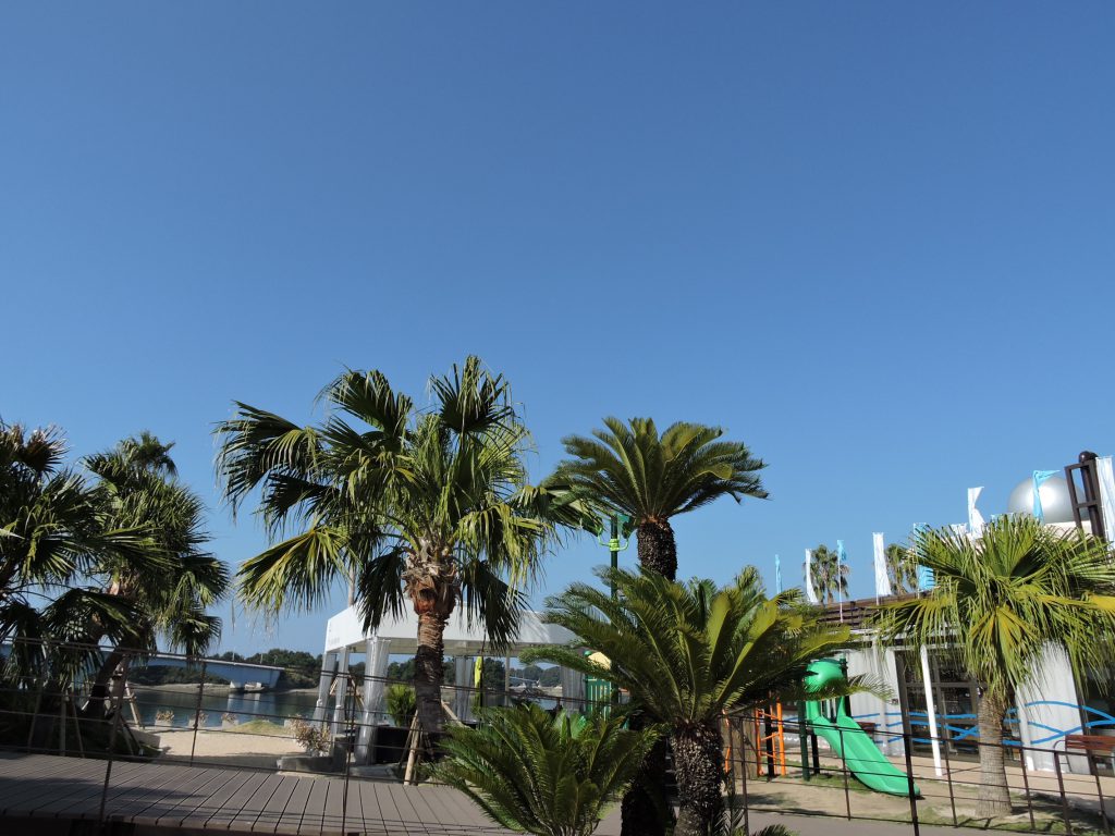 【天草が舞台】オスカー俳優ブレンダン・フレイザー主演映画『レンタル・ファミリー』、令和8年2月27日より日本公開決定！