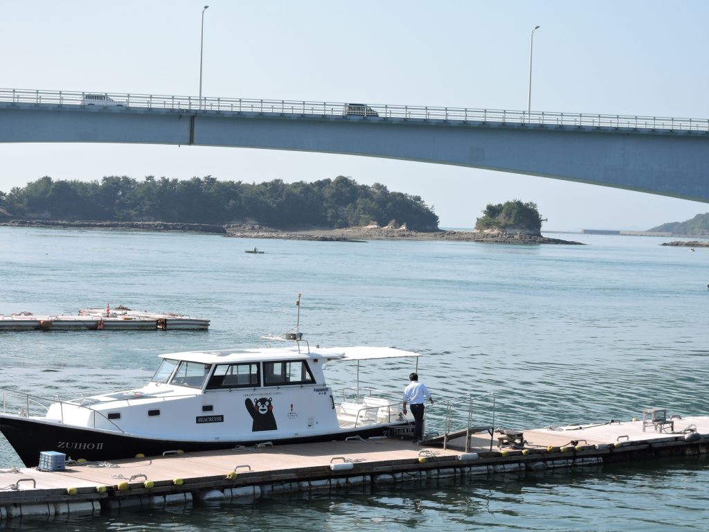 天草の旬を決める！「AMAKUSA ”旬の魚” 総選挙2025」がインターネットで初開催