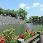 松江城の石垣（八代城址群）