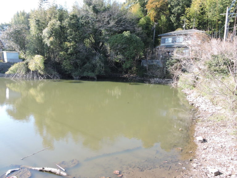 西福寺堤（東区）