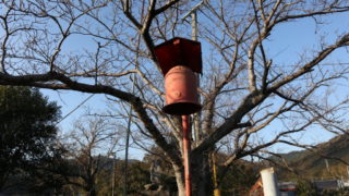南関町 危険木伐採等助成金