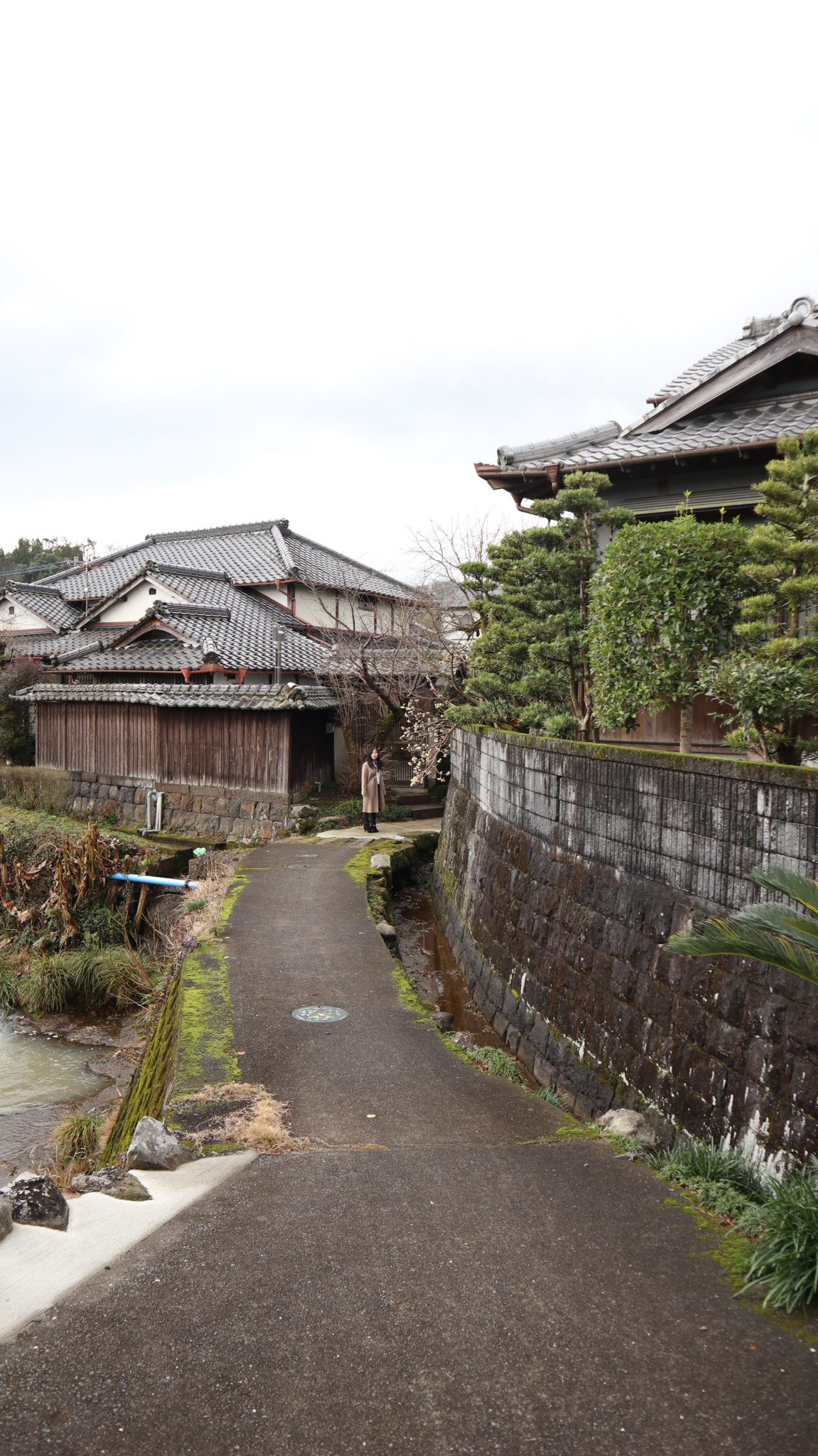 御船町がお買い物チケットを無料配布、物価高騰対策と商業活性化へ