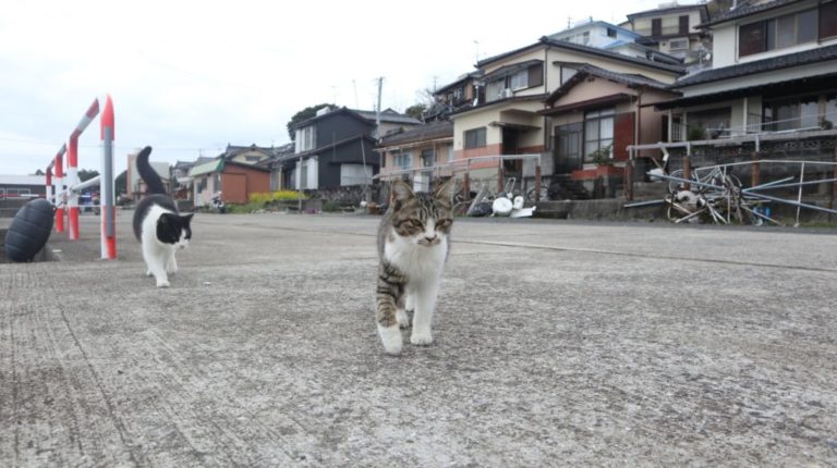 湯島（令和2年2月18日）