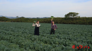 野菜畑で写真を撮ってきた！ @ （有）北部農園（玉名市横島町）
