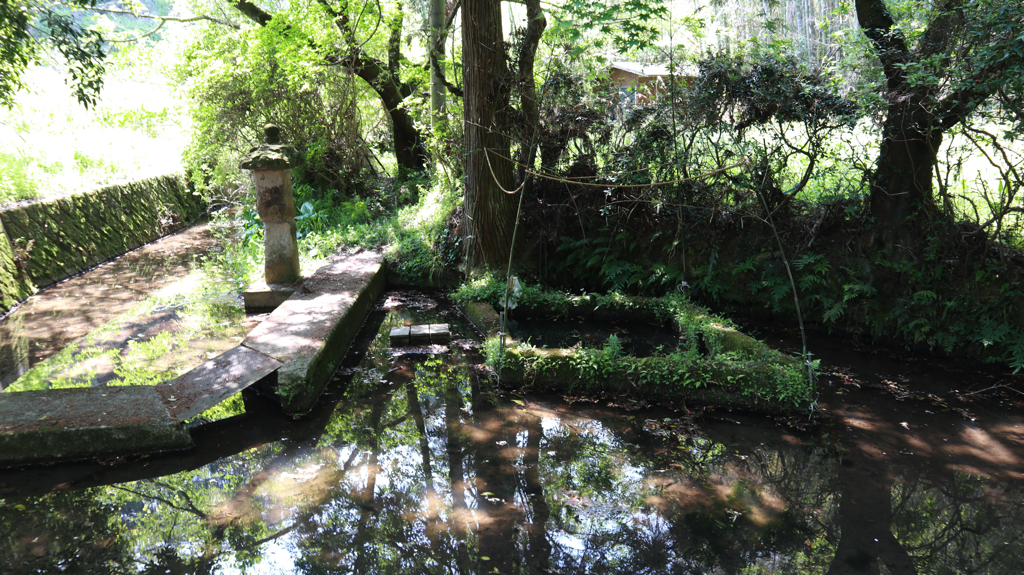 菱形の池（熊本市北区）