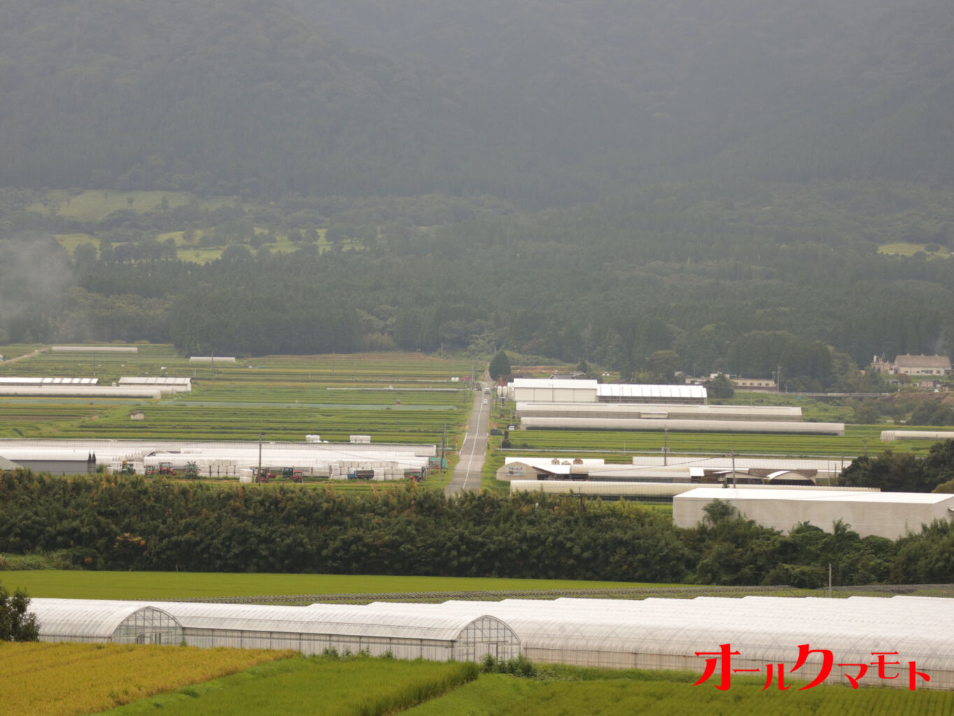 南阿蘇鉄道で「永原ももアンバサダー」による冬の特別企画列車運行—クリスマスライブやガイドツアーを開催