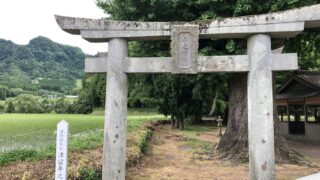 高森町で「あおぞらマルシェ」が10月19日（日）に開催！顔の見える安心野菜とキッチンカーも登場