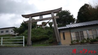 山都町の「やまと文化の森」12月のイベント情報—クリスマスツリーコンテストとコンサートを開催