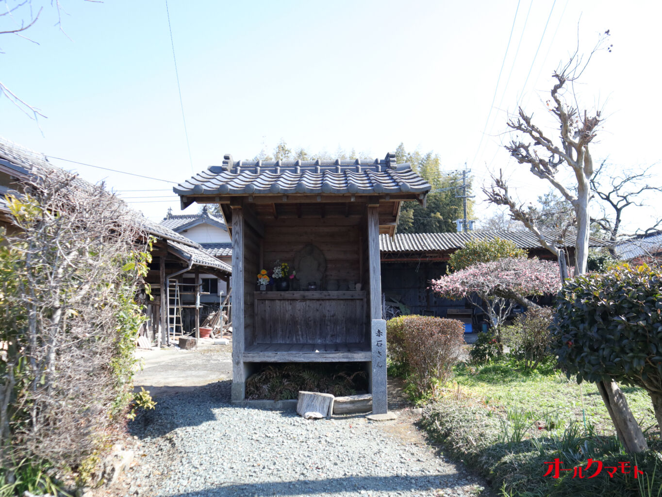赤石さん（菊池市）