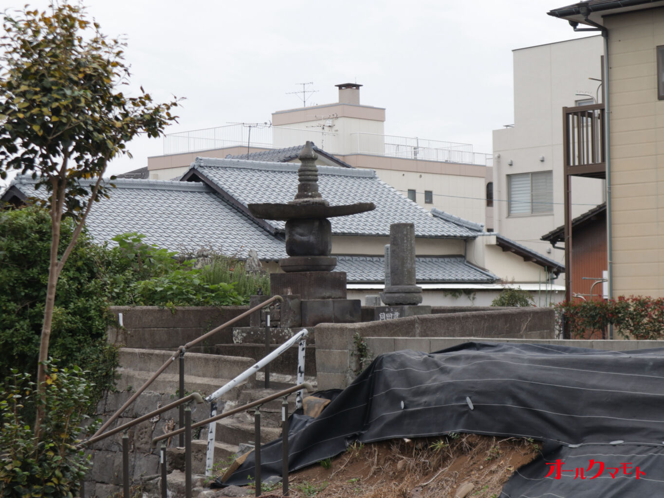 玉名市立歴史博物館で体験学習「同田貫ウォーク」開催—豪刀の聖地を学芸員と巡る