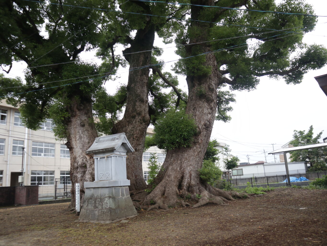 亀坂神社（熊本市南区）