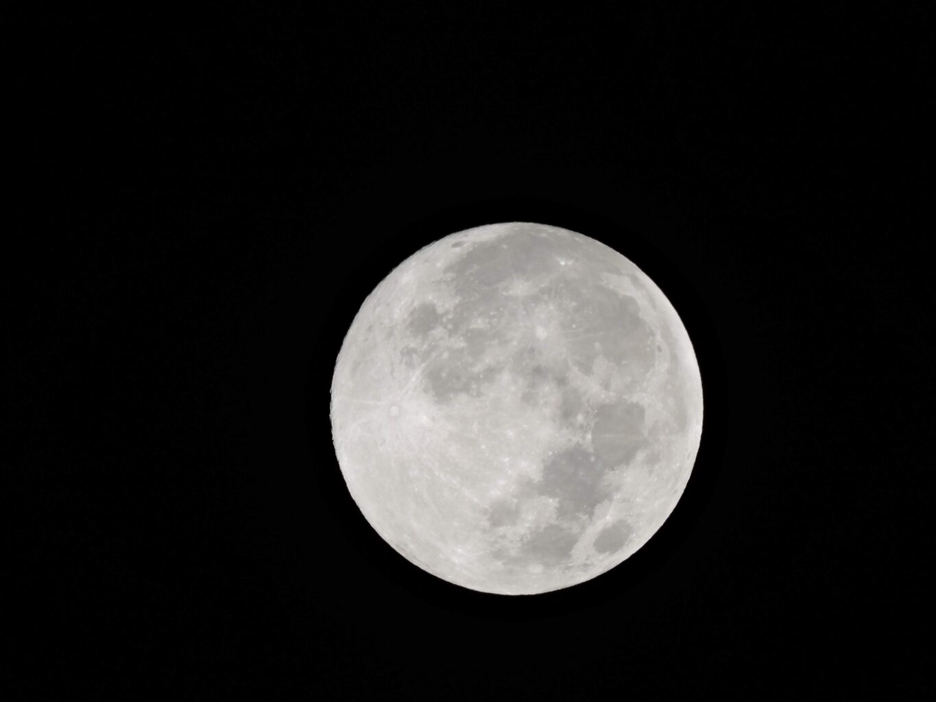 熊本博物館で今年も「熟睡プラ寝たリウム」が11月23日に開催！枕・パジャマ持ち込みOK