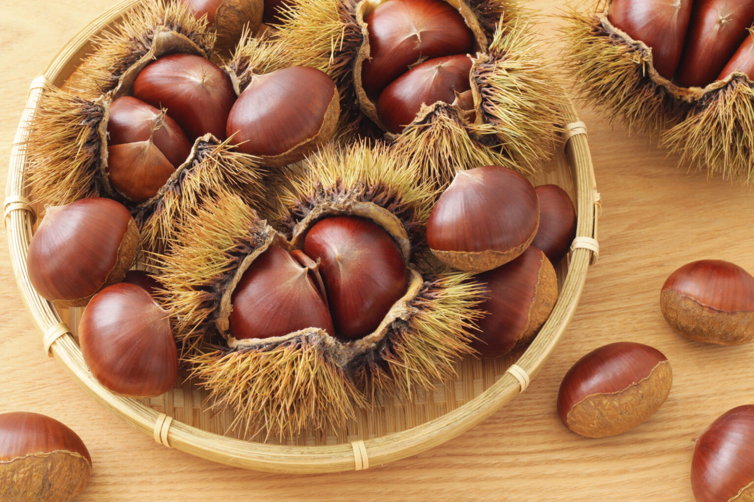 山江村、公式LINE「手のひら役場」を開設！申請、予約、ごみ分別回答など便利な機能満載