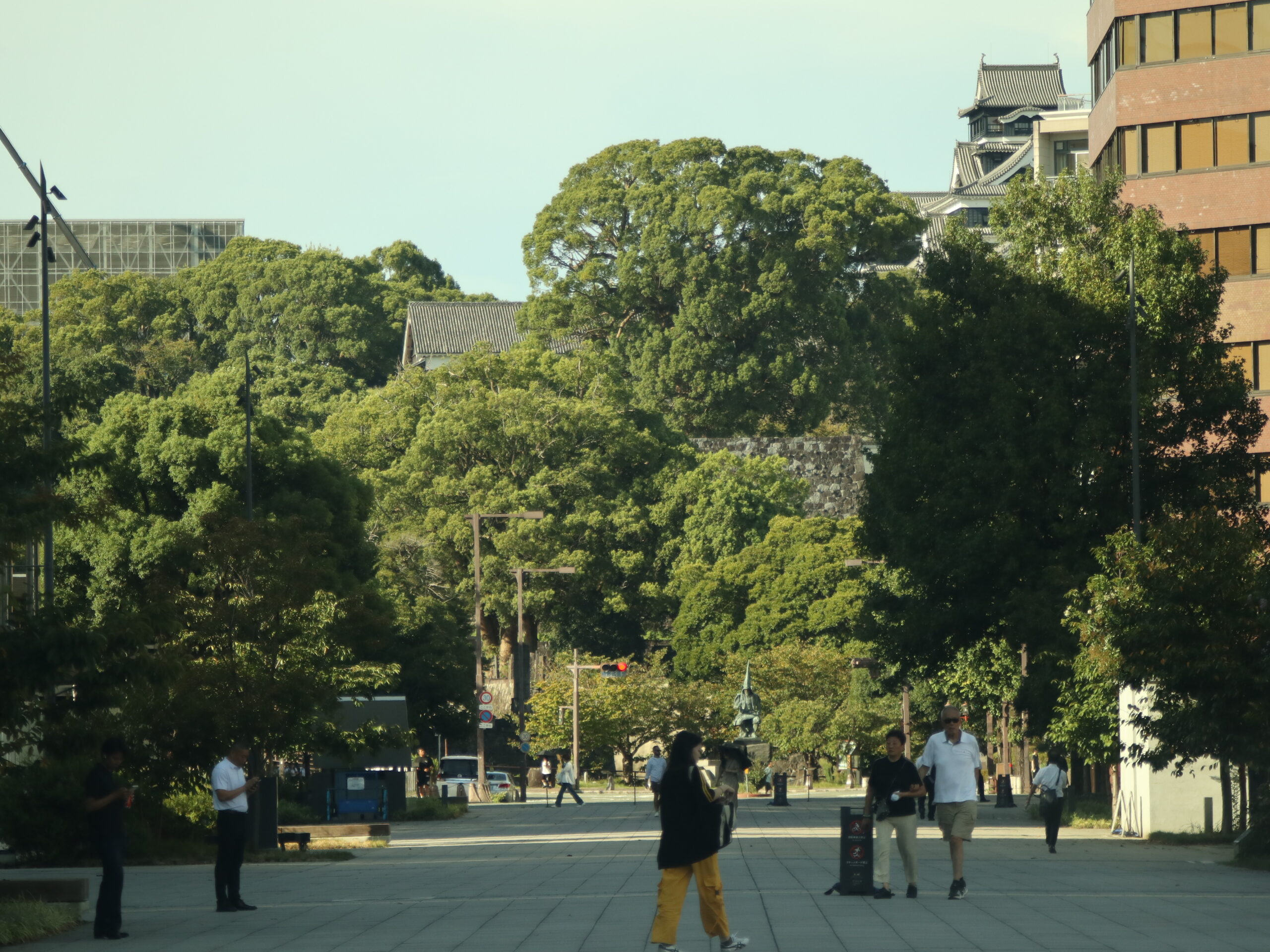 100年ぶりに姿を現した「宇土櫓穴蔵」発掘調査の現地説明会が開催されます！