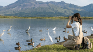 山江村「三平桜お花見ハイキング」令和8年（2026年）3月21日に開催